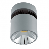 Aufputz Leuchte DLN 170 FORTIMO LED DLM mit 20 Watt oder 31 Watt