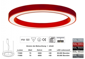 Pendelleuchte LED Ring SD 1000mm in allen RAL Farben / Licht direkt