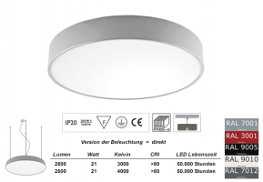 Pendelleuchte PLAFON 300 PND in allen RAL Farben / Licht direkt