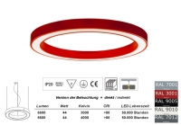 Pendelleuchte LED Ring SD 650mm in allen RAL Farben / Licht direkt