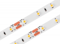 24V LED Strip NEONICA 3528 / 300 LED / 3000 Kelvin / CRI >80