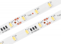 24V LED Strip - EDISON 5630 / 300 LED / 2700 Kelvin / CRI>80